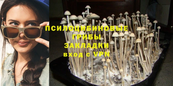 меф Арсеньев