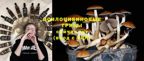 a pvp Аркадак