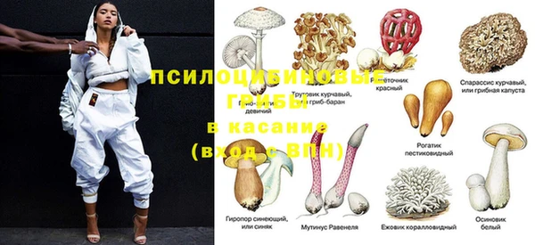 меф Арсеньев
